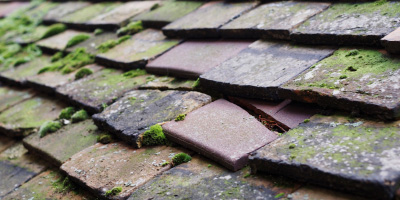 Caldecott roof repair costs